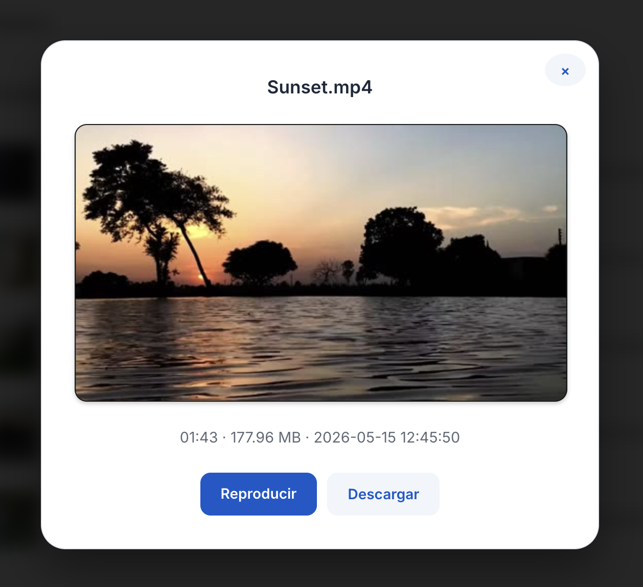 Detalles de archivo en GravityFlash